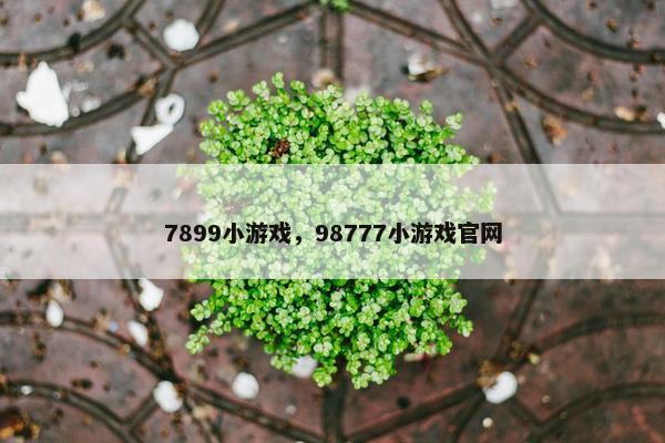 7899小游戏，98777小游戏官网