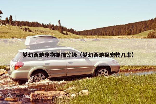 梦幻西游宠物抓捕等级（梦幻西游捉宠物几率）