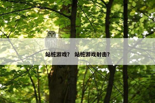 站桩游戏？ 站桩游戏射击？