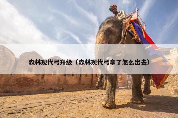 森林现代弓升级（森林现代弓拿了怎么出去）