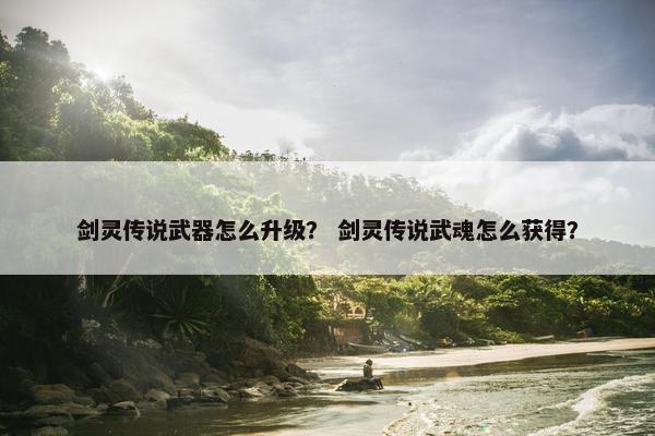剑灵传说武器怎么升级？ 剑灵传说武魂怎么获得？