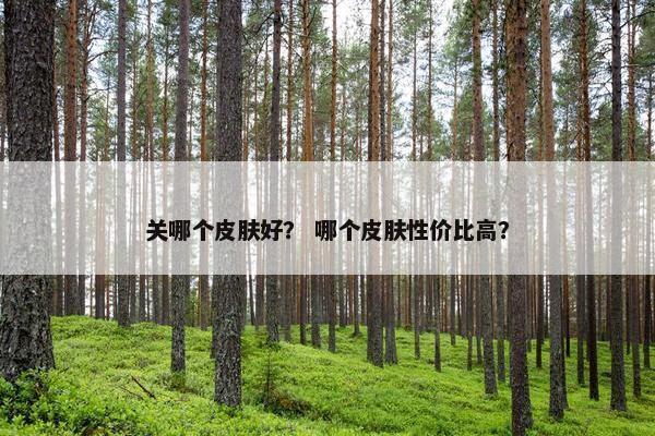 关哪个皮肤好？ 哪个皮肤性价比高？
