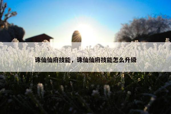 诛仙仙府技能，诛仙仙府技能怎么升级