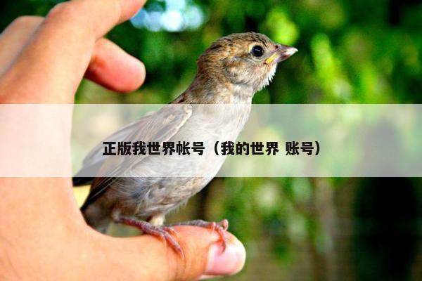 正版我世界帐号（我的世界 账号）