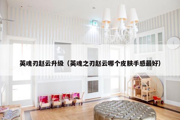英魂刃赵云升级（英魂之刃赵云哪个皮肤手感最好）