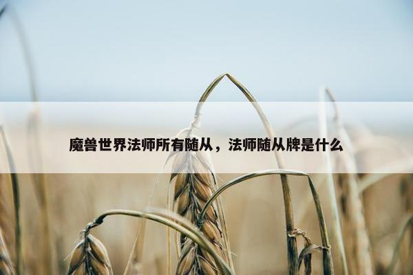 魔兽世界法师所有随从，法师随从牌是什么