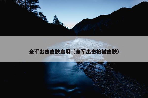 全军出击皮肤启用（全军出击枪械皮肤）