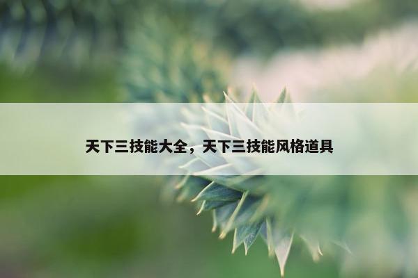天下三技能大全，天下三技能风格道具