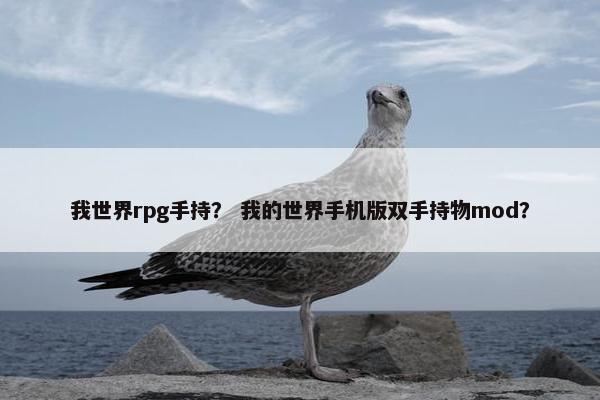 我世界rpg手持？ 我的世界手机版双手持物mod？