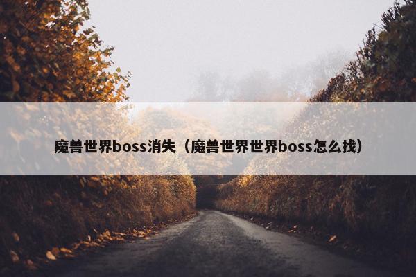 魔兽世界boss消失（魔兽世界世界boss怎么找）