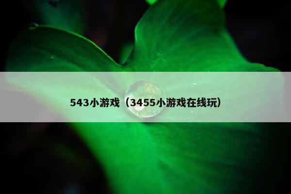 543小游戏（3455小游戏在线玩）