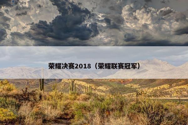 荣耀决赛2018（荣耀联赛冠军）