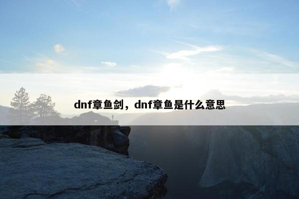 dnf章鱼剑，dnf章鱼是什么意思
