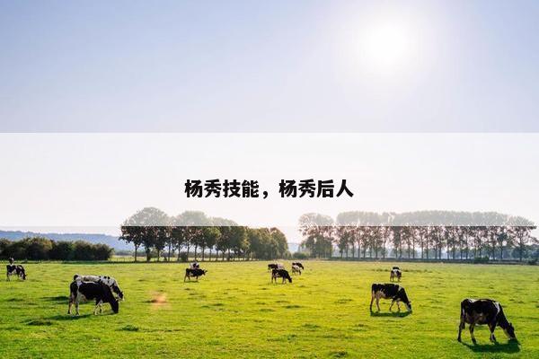 杨秀技能，杨秀后人