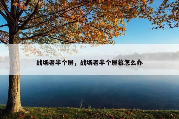 战场老半个屏，战场老半个屏幕怎么办
