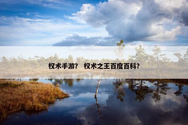 权术手游？ 权术之王百度百科？