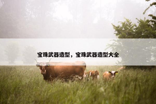 宝珠武器造型，宝珠武器造型大全