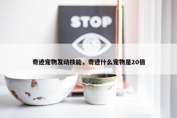 奇迹宠物发动技能，奇迹什么宠物是20倍