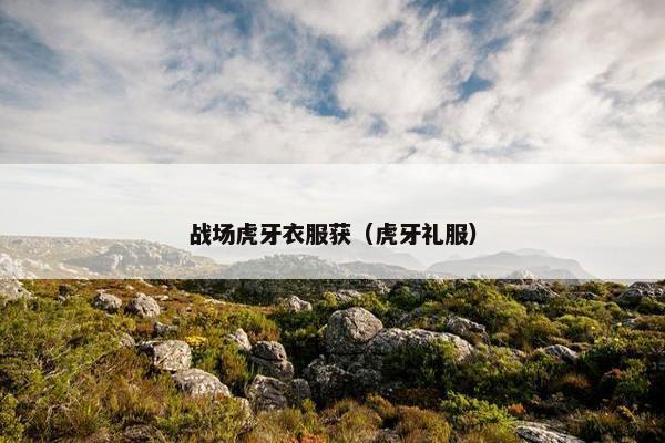 战场虎牙衣服获（虎牙礼服）