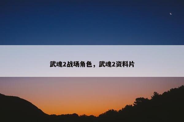 武魂2战场角色，武魂2资料片