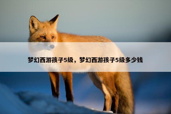 梦幻西游孩子5级，梦幻西游孩子5级多少钱