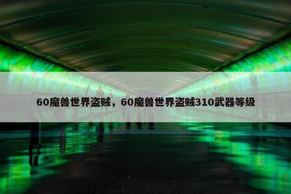 60魔兽世界盗贼，60魔兽世界盗贼310武器等级