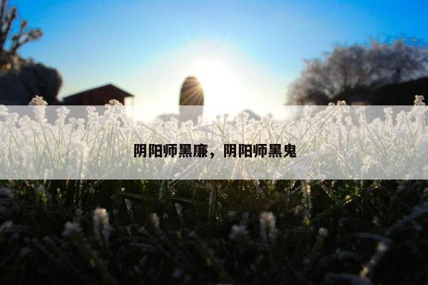 阴阳师黑廉，阴阳师黑鬼