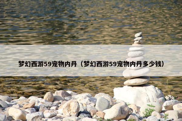 梦幻西游59宠物内丹（梦幻西游59宠物内丹多少钱）