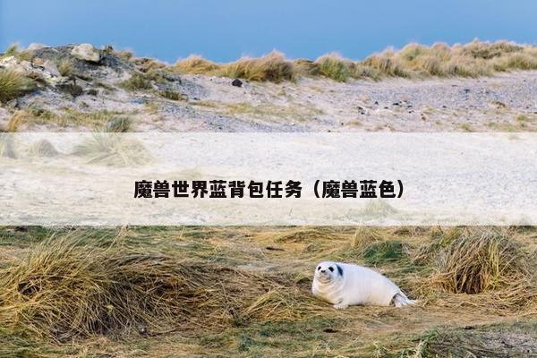 魔兽世界蓝背包任务（魔兽蓝色）