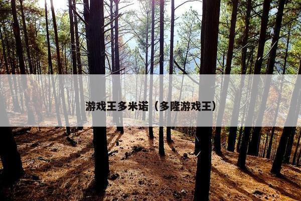 游戏王多米诺（多隆游戏王）