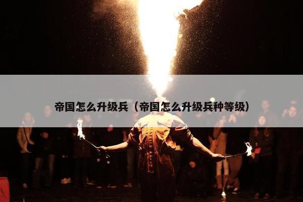 帝国怎么升级兵（帝国怎么升级兵种等级）