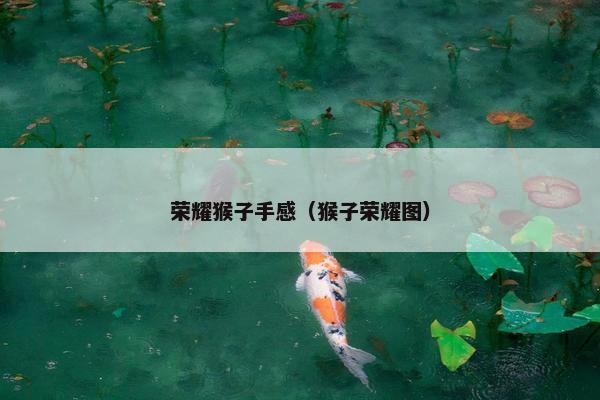 荣耀猴子手感（猴子荣耀图）