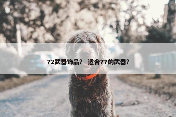 72武器饰品？ 适合77的武器？