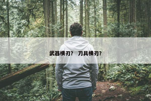 武器横刃？ 刀具横刃？
