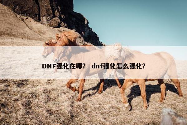 DNF强化在哪？ dnf强化怎么强化？