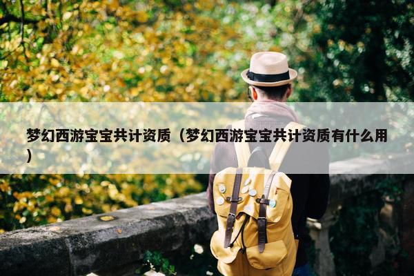梦幻西游宝宝共计资质（梦幻西游宝宝共计资质有什么用）