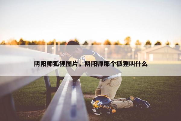 阴阳师狐狸图片，阴阳师那个狐狸叫什么