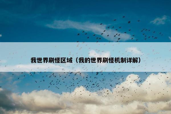 我世界刷怪区域（我的世界刷怪机制详解）