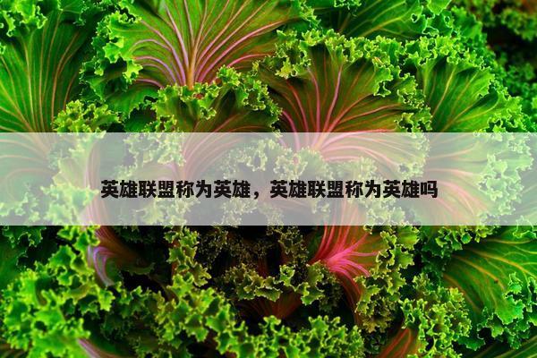 英雄联盟称为英雄，英雄联盟称为英雄吗
