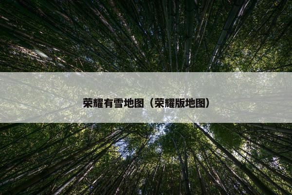 荣耀有雪地图（荣耀版地图）