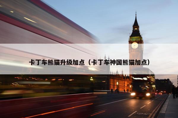 卡丁车熊猫升级加点（卡丁车神国熊猫加点）