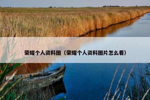 荣耀个人资料图（荣耀个人资料图片怎么看）