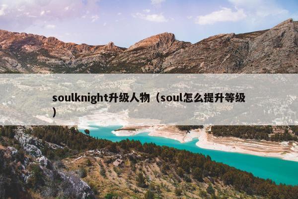soulknight升级人物（soul怎么提升等级）