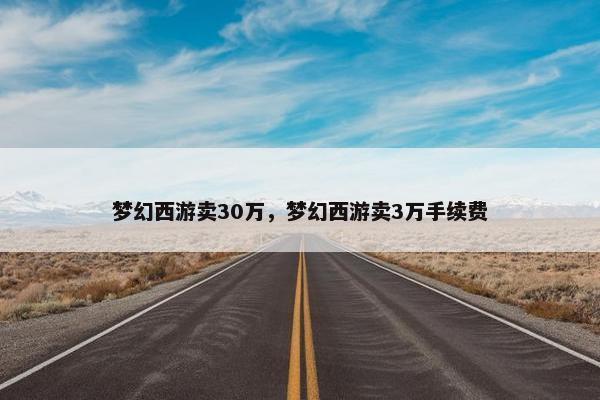 梦幻西游卖30万，梦幻西游卖3万手续费