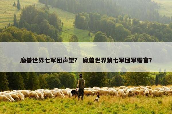 魔兽世界七军团声望？ 魔兽世界第七军团军需官？