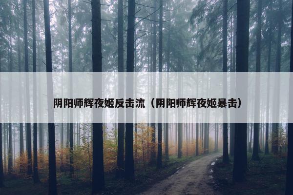 阴阳师辉夜姬反击流（阴阳师辉夜姬暴击）