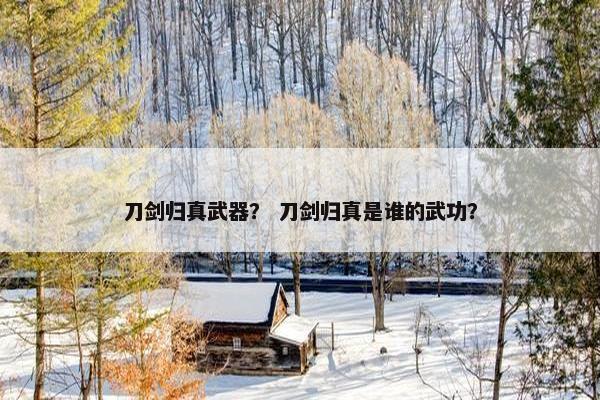 刀剑归真武器？ 刀剑归真是谁的武功？