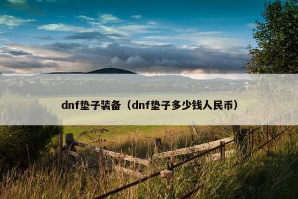 dnf垫子装备（dnf垫子多少钱人民币）