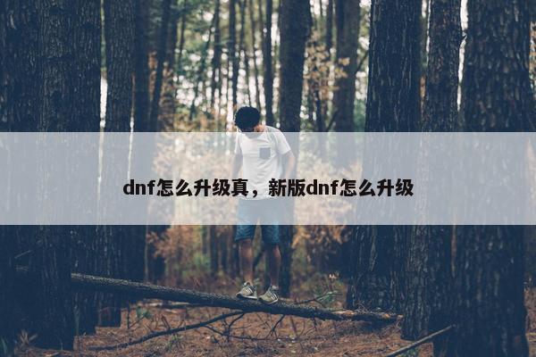 dnf怎么升级真,新版dnf怎么升级 dnf怎么升级真,新版dnf怎么升级