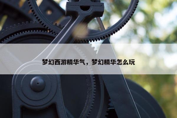梦幻西游精华气,梦幻精华怎么玩 梦幻西游精华气,梦幻精华怎么玩